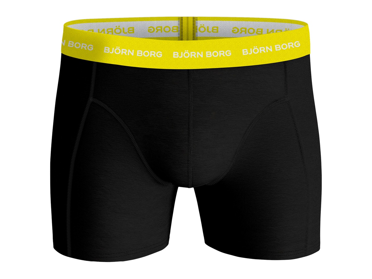 Essential Pride Sammy Boxer