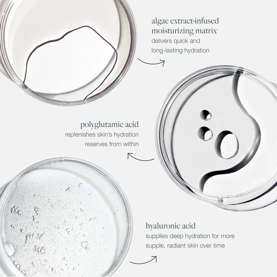 Circular Hydration Serum