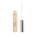 Blur Longwear Concealer