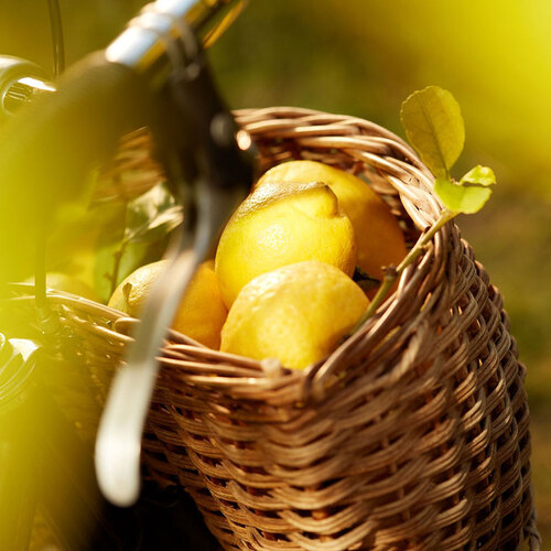 Maison Margiela Replica Under Lemon Trees EdT