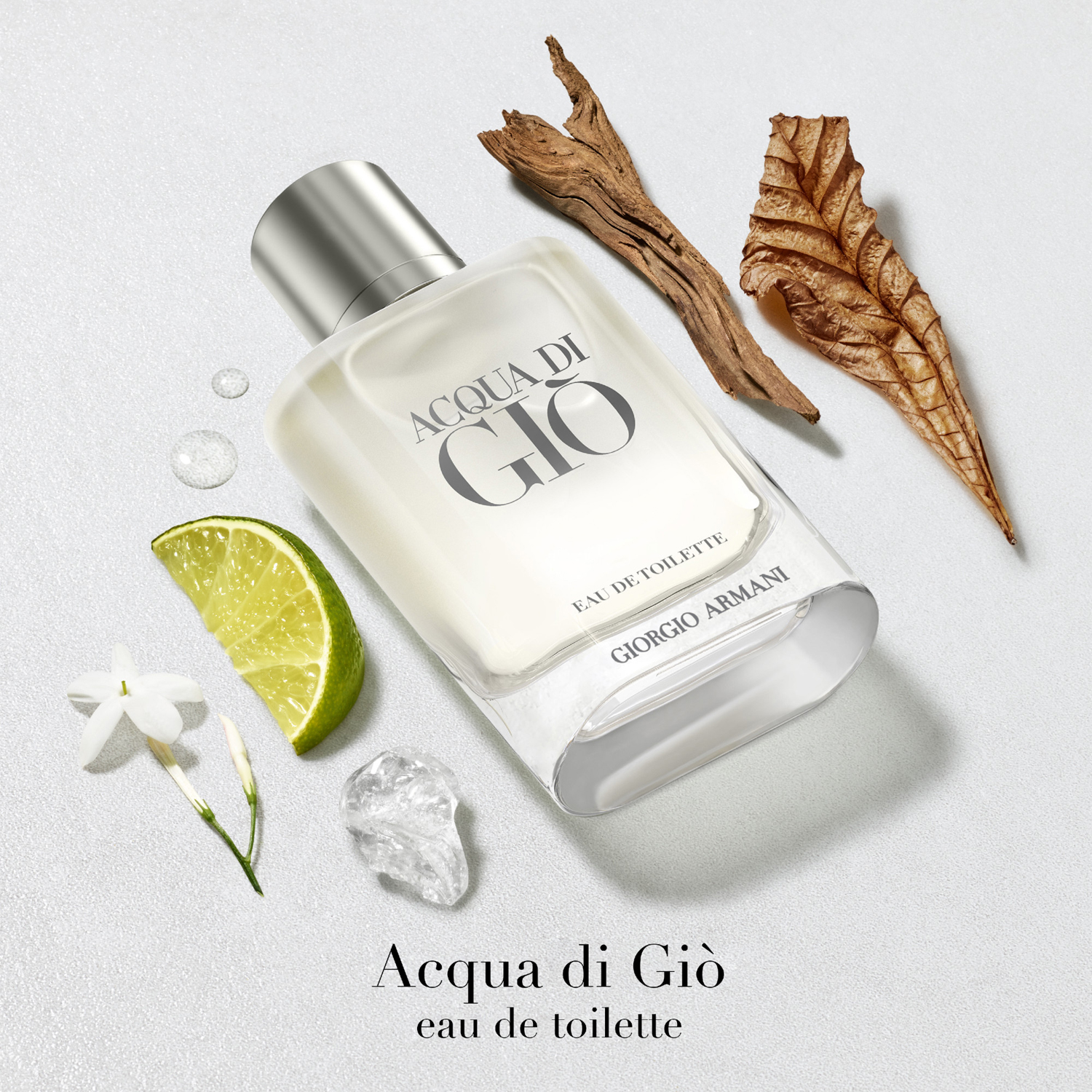 Acqua Di Gio Homme