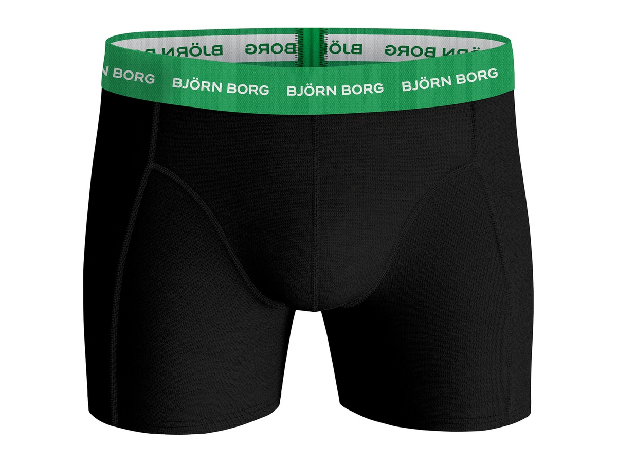 Essential Pride Sammy Boxer