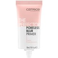 The Perfector Poreless Blur Primer