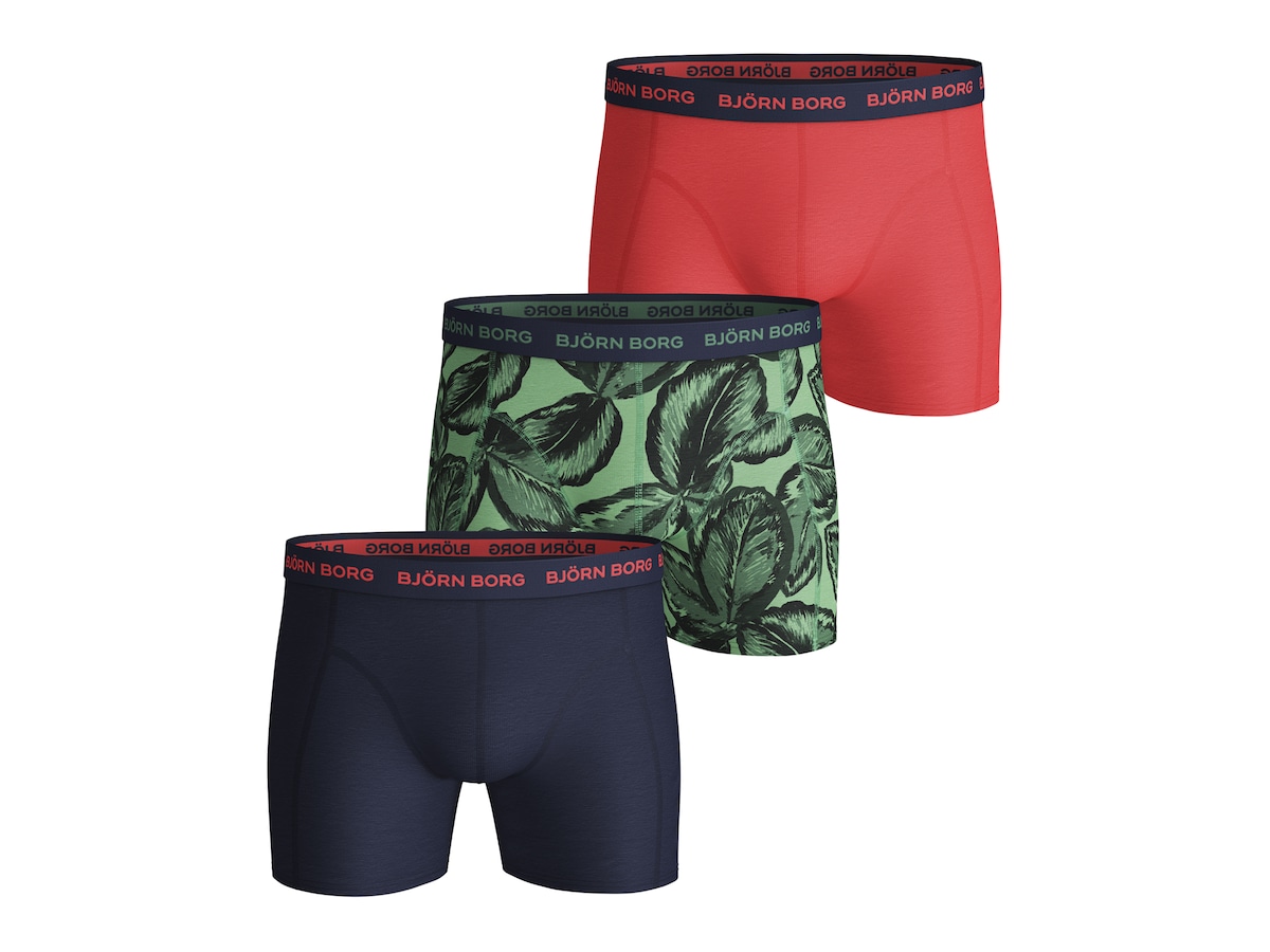 Essential Sammy Leafy Boxer